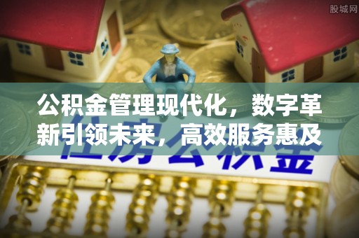 永济公积金管理现代化，数字革新引领未来，高效服务惠及民生