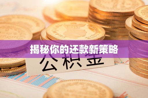永济揭秘你的还款新策略