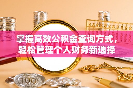 永济掌握高效公积金查询方式，轻松管理个人财务新选择