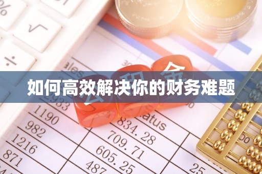 永济如何高效解决你的财务难题