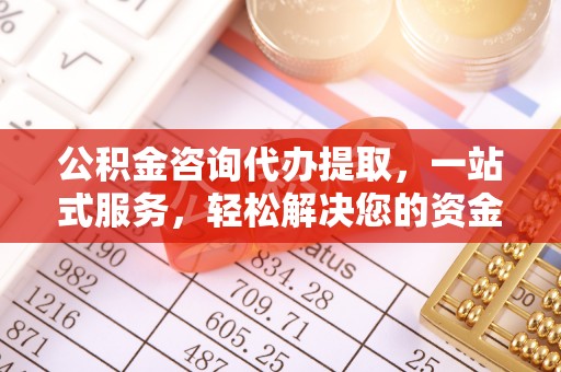 永济公积金咨询代办提取，一站式服务，轻松解决您的资金需求
