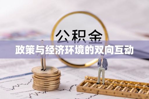 永济政策与经济环境的双向互动
