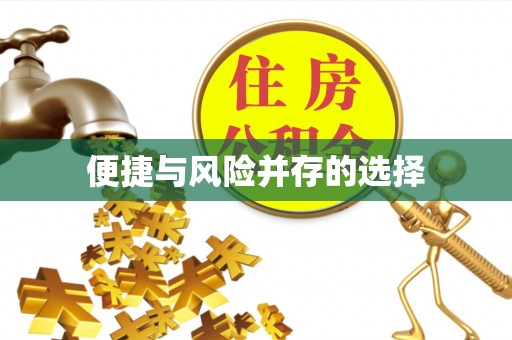 永济便捷与风险并存的选择