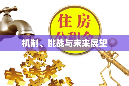 永济机制、挑战与未来展望