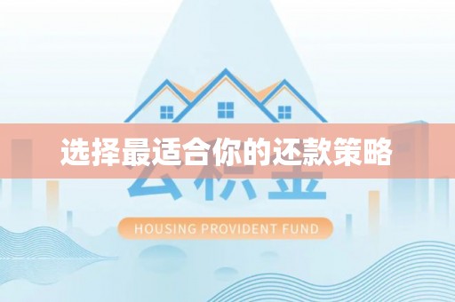 永济选择最适合你的还款策略