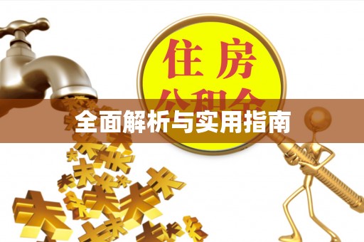 永济全面解析与实用指南