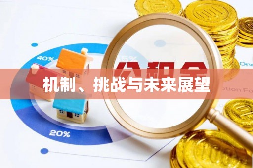 永济机制、挑战与未来展望